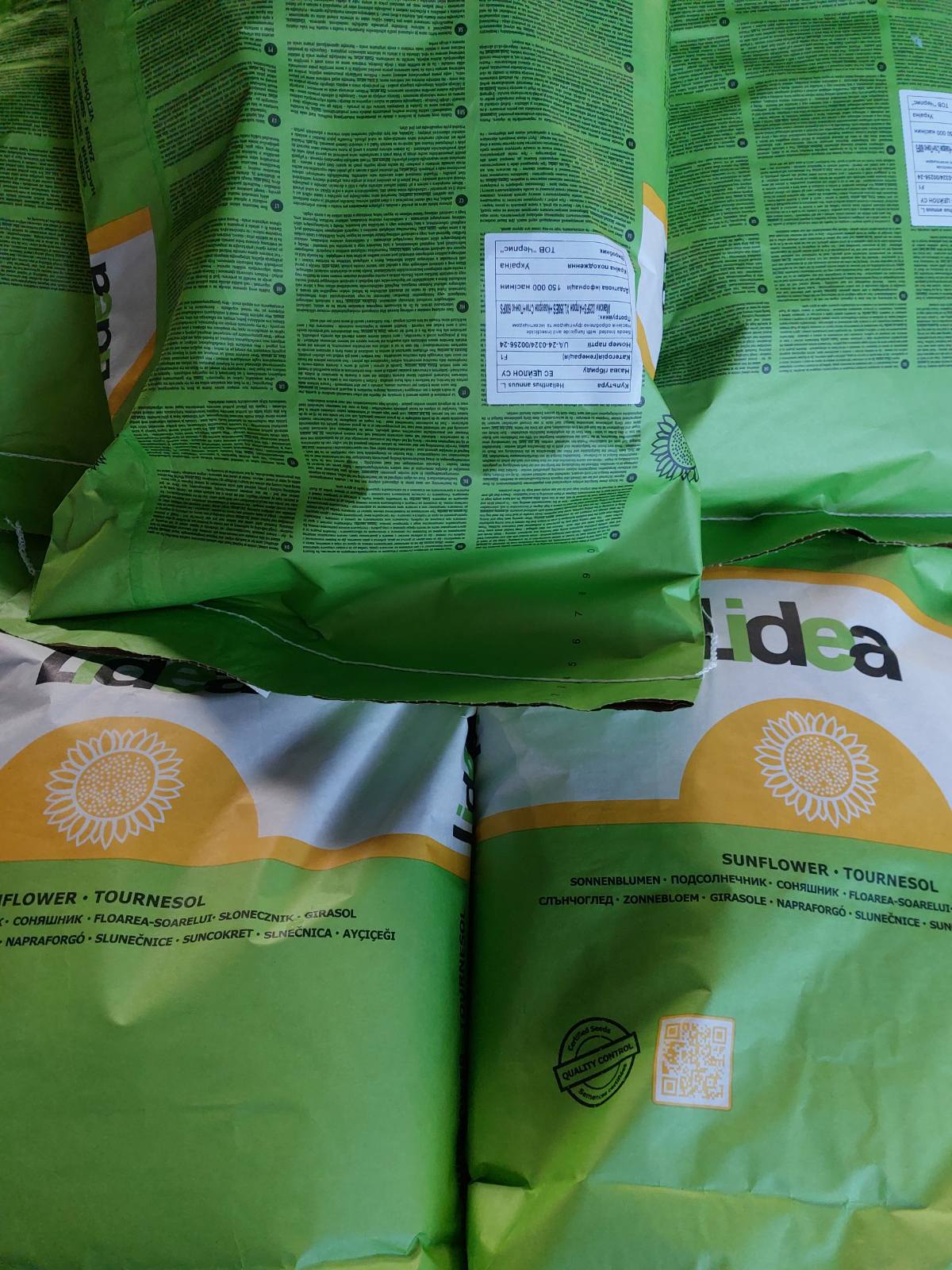 Насіння соняшнику «ЕС Цейлон». Максимальна адаптивність до різних умов. 50 гр гранстар