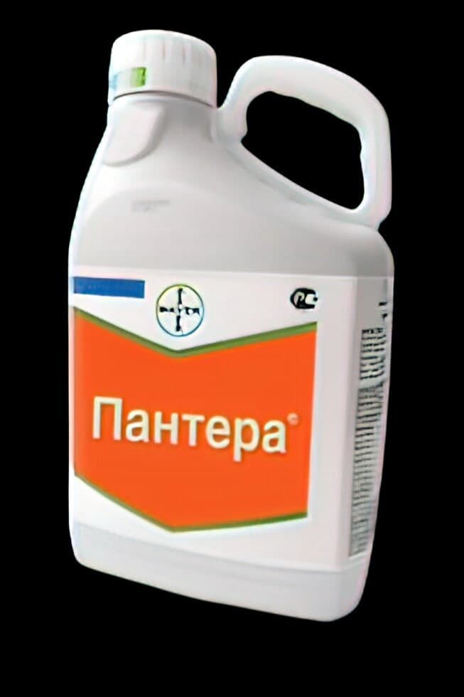 Гербіцид Пантера 40 КЕ 5 л, концентрат емульсії UPL