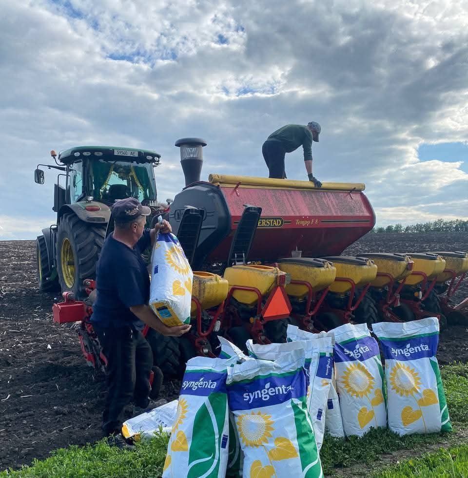 Насіння соняшнику «СИ Амазонія». Максимальна стійкість до Вовчку!