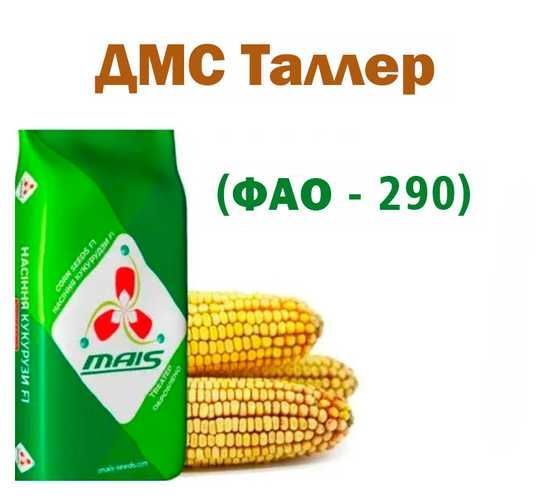 Насіння кукурудзи «ДМС Таллер» ФАО 290