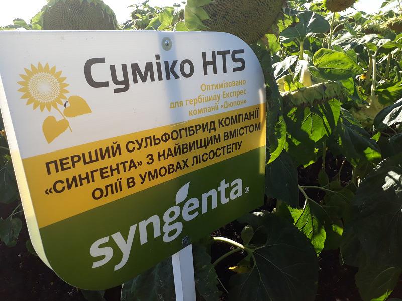 Насіння соняшнику «Суміко HTS». Стійкий до Експресу 50 гр. Високоолійний