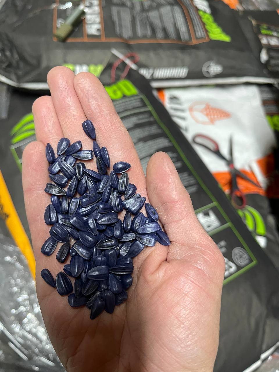 Насіння соняшника «Arizaro». «AGseed». Новий спекостійкий. Аргентинська селекція. 50 гр Гранстар+ відео