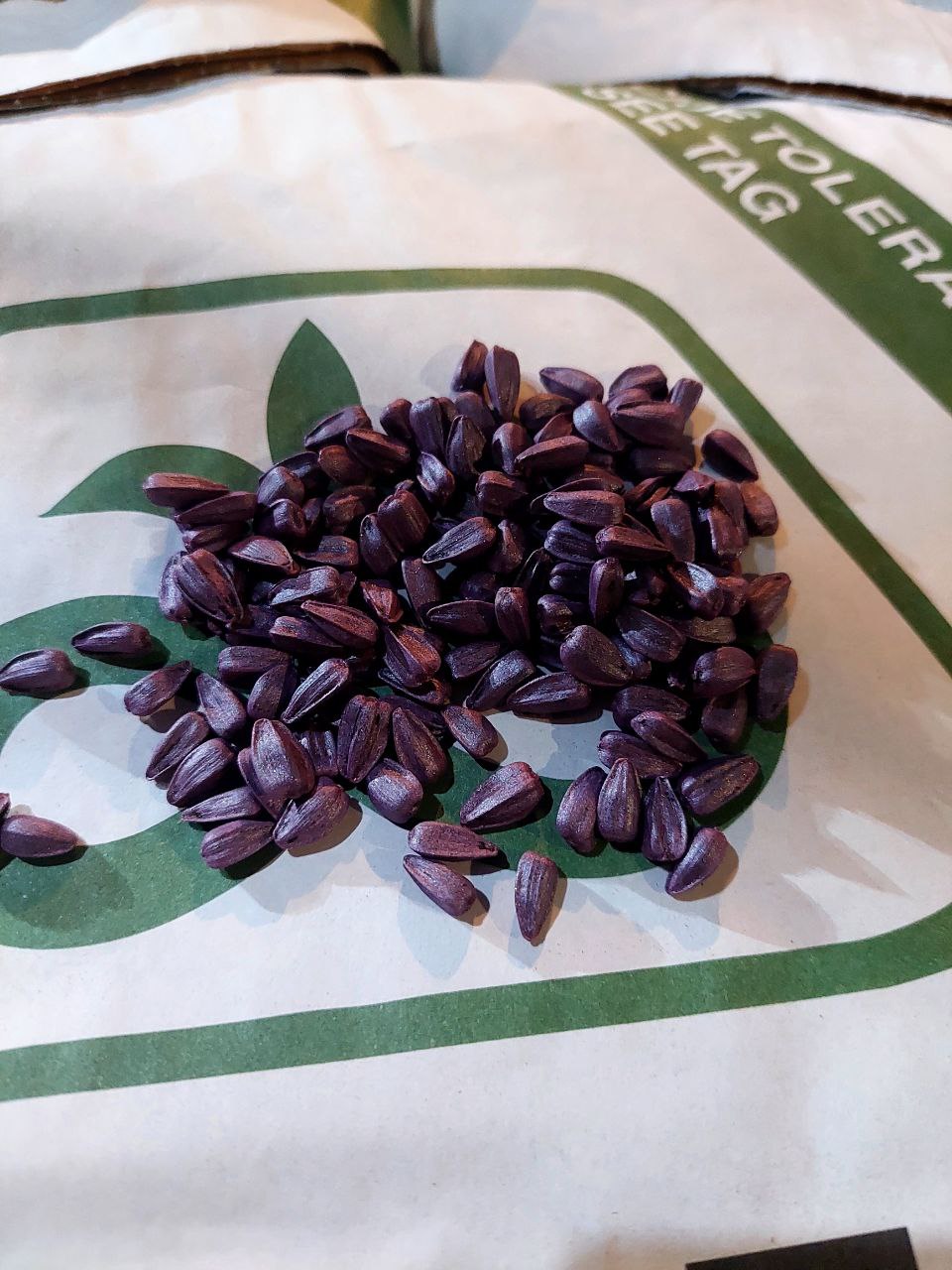 Насіння соняшнику «P64LE25». стійкий до гранстару 50 гр. 7+ рас Вовчок