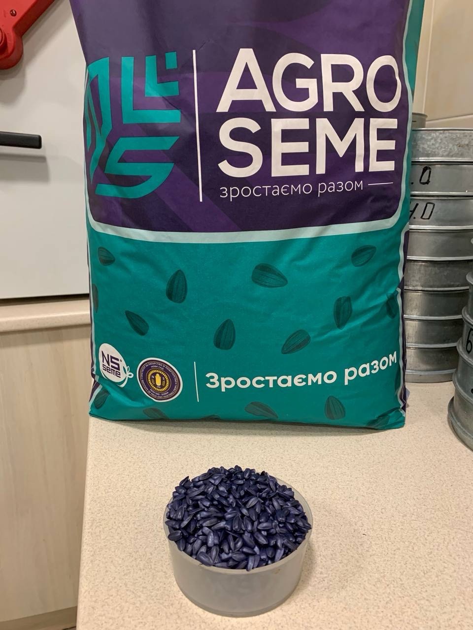 Насіння соняшнику. Ультра-ранній гібрид «НСХ7900».«Флеш» Стійкість: Гранстар 50 гр та Вовчок 7+. + відео