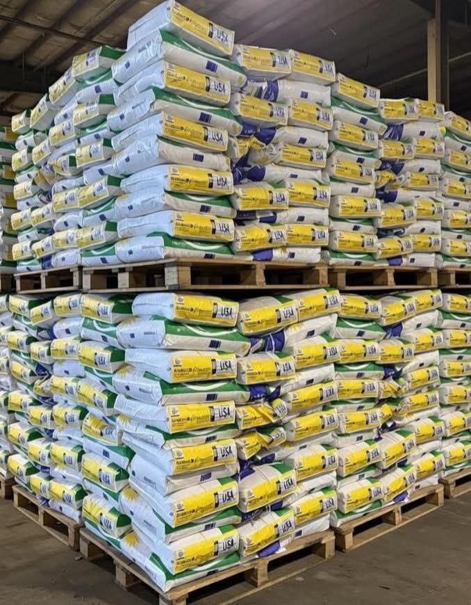 Насіння соняшнику «Сувора HTS». Адаптован пІд різні погодно - грунтові умови