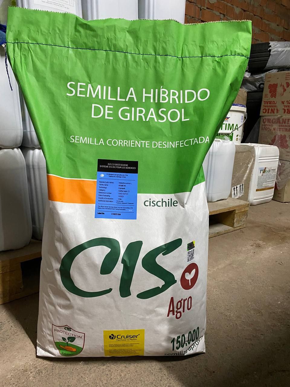 Насіння соняшнику «Патрік» Максимальна врожайність. Генетіка Чілійської компанії «CIS». Евролатйтинг 1.2л. 7+ Вовчок
