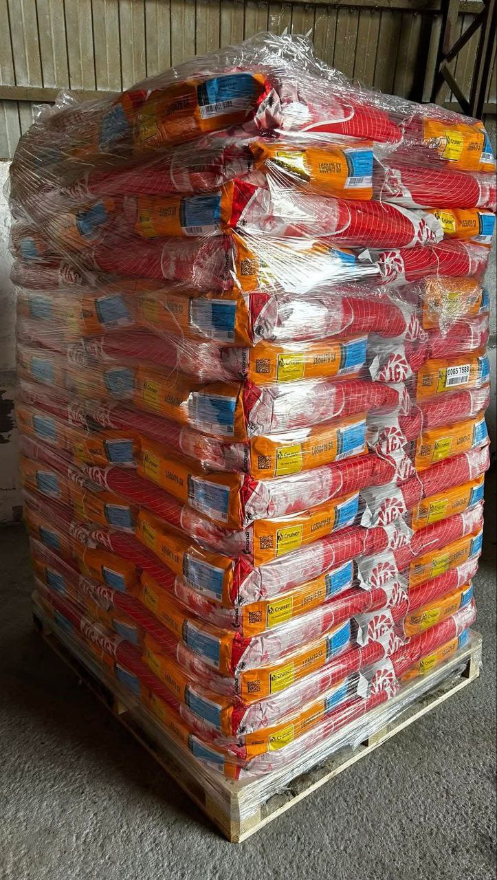 Насіння соняшнику «LG59580». Ранній. Максимальна стійкість до Вовчку G+ та посухи. 50 гр гранстар